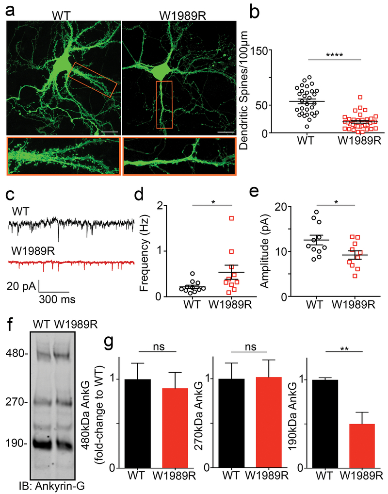 Fig. 4: