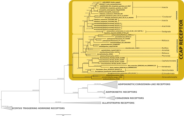 Figure 2—figure supplement 5.