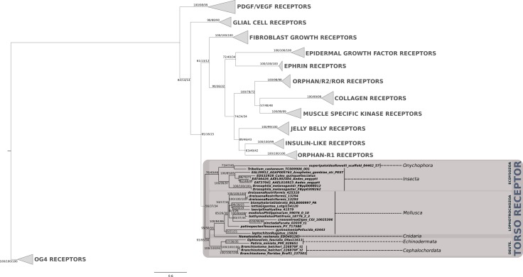 Figure 2—figure supplement 2.