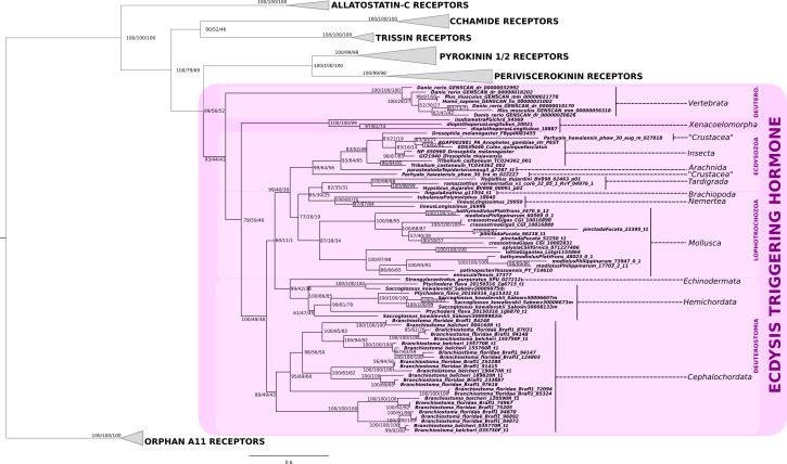 Figure 2—figure supplement 3.