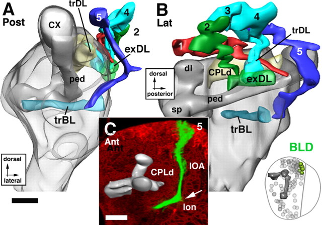 Figure 13.