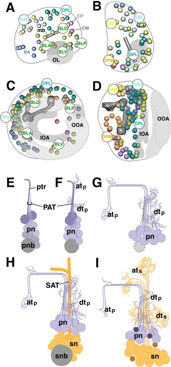 Figure 17.