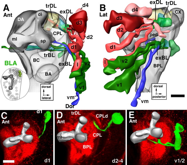 Figure 12.