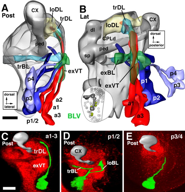 Figure 15.