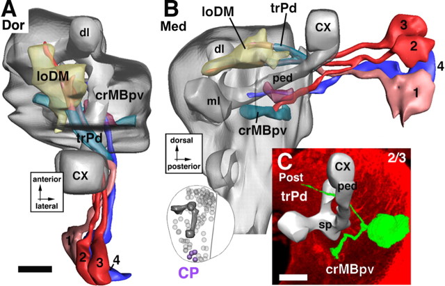 Figure 11.