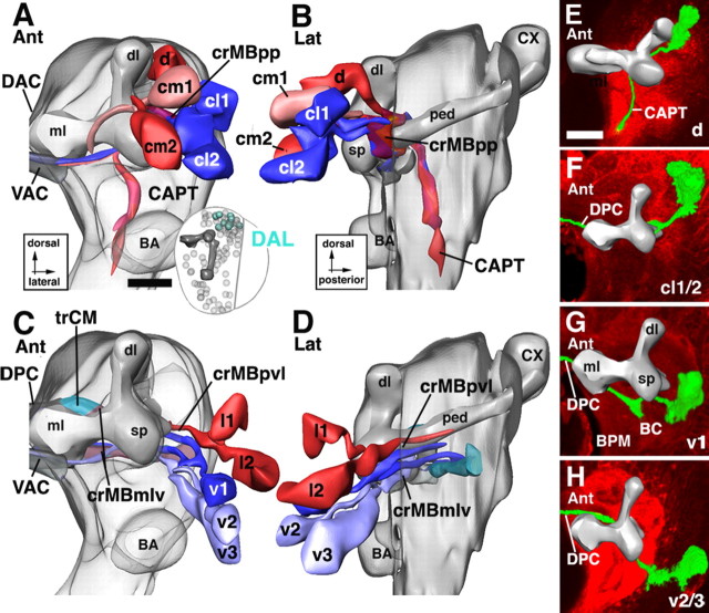 Figure 6.