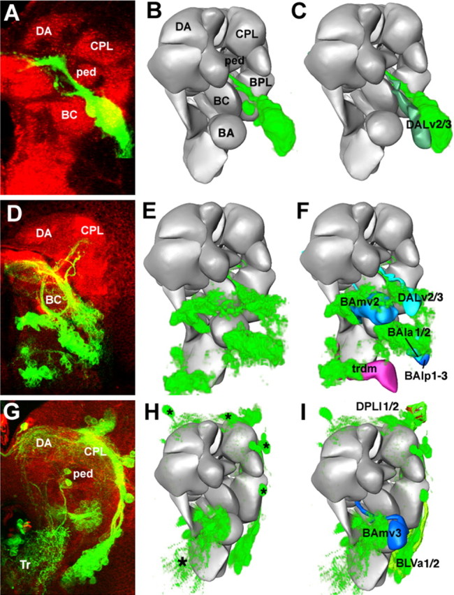 Figure 16.