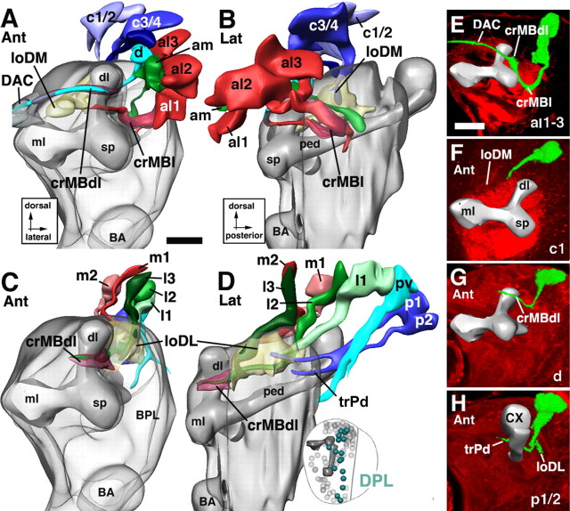 Figure 10.