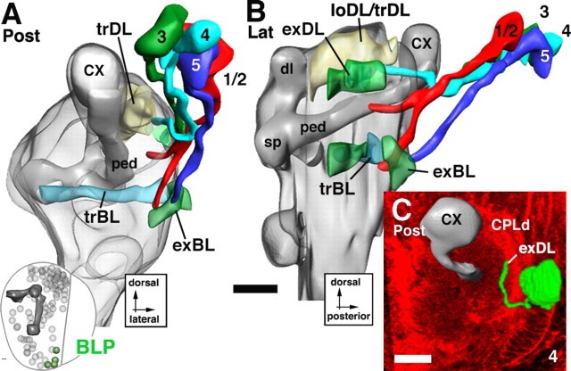 Figure 14.