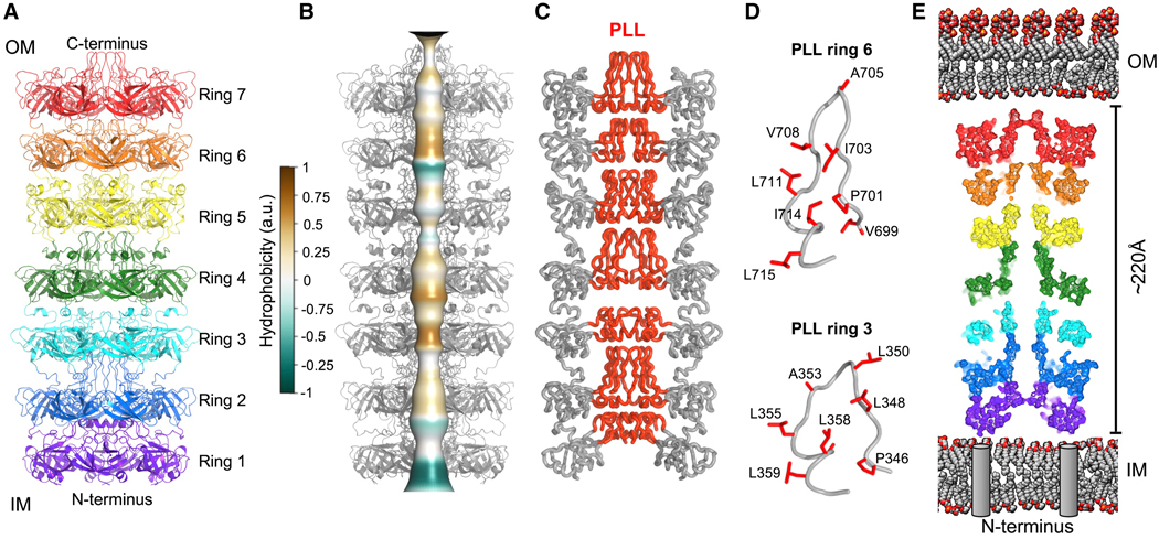 Figure 2.