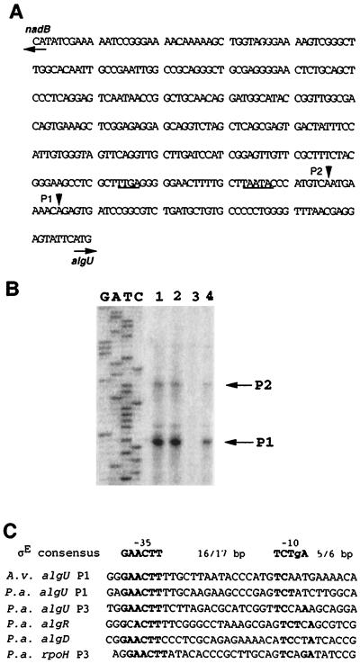 FIG. 5