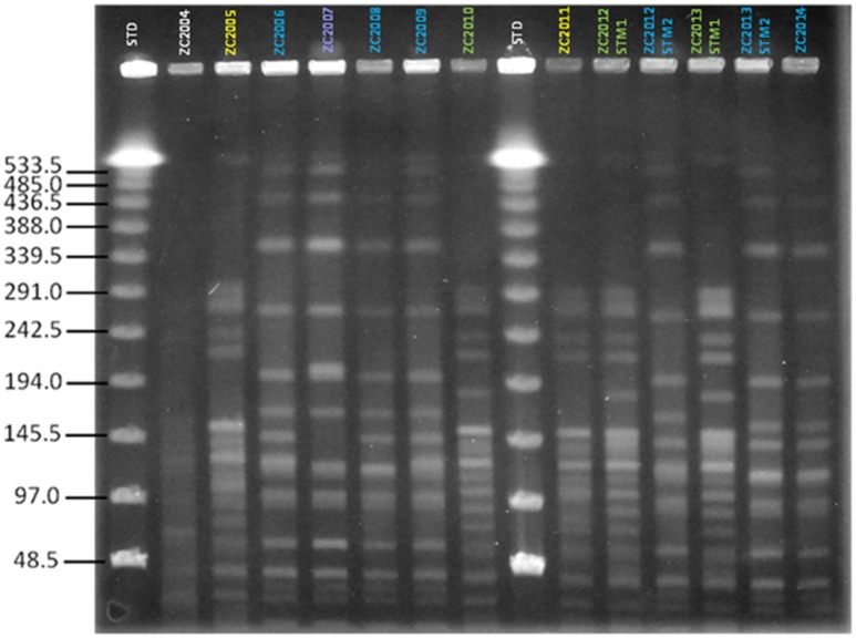 Figure 1