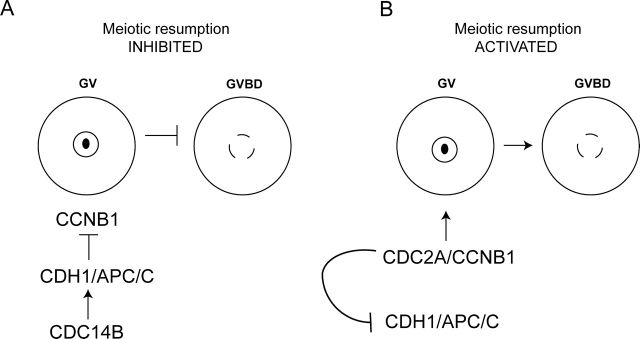 FIG. 7.