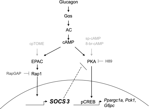 FIGURE 10.