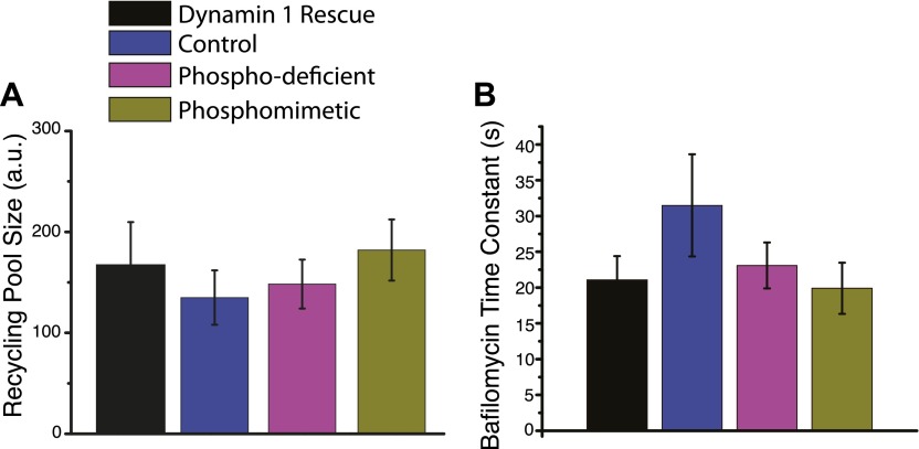 Figure 4—figure supplement 1.