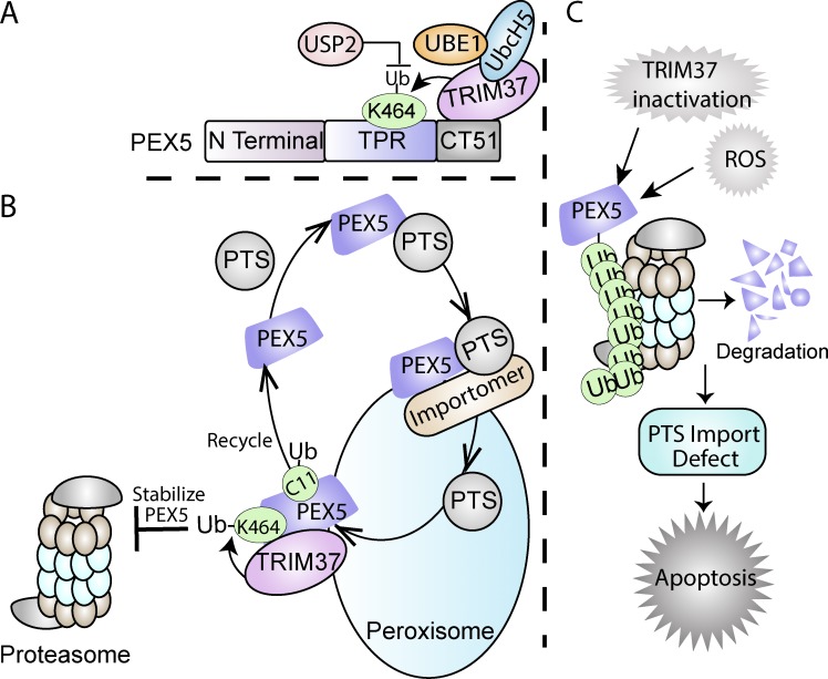 Figure 10.