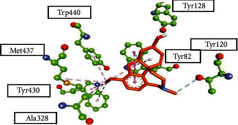 Figure 5