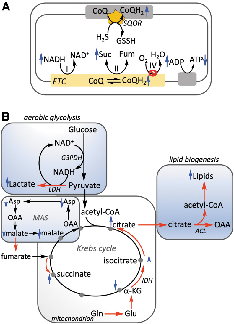 FIG. 6.