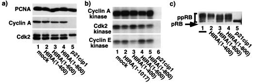 FIG. 8.