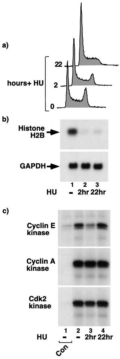 FIG. 9.