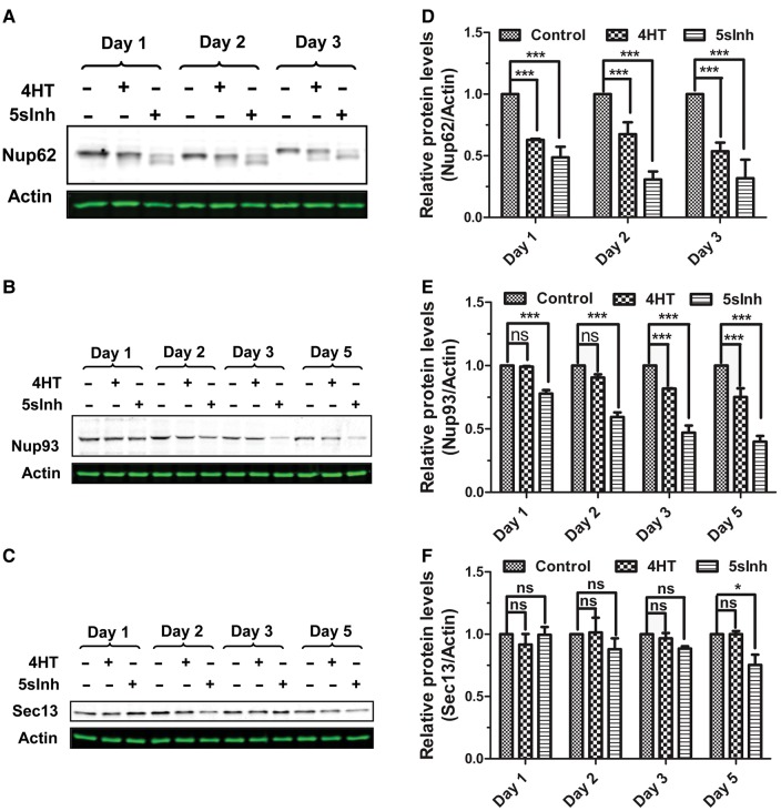 Figure 2