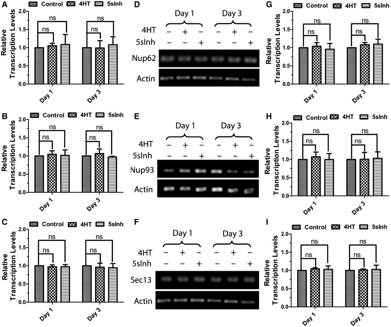 Figure 3