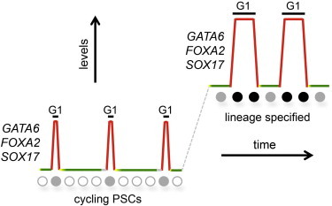 Figure 6