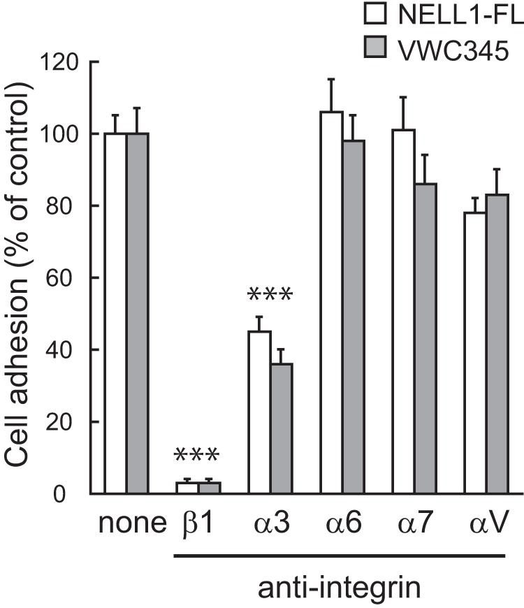 FIGURE 10.