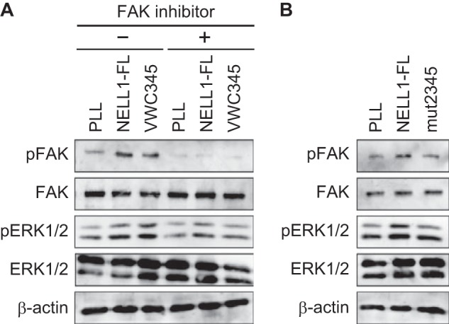 FIGURE 11.