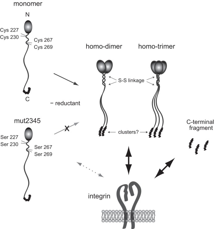 FIGURE 12.