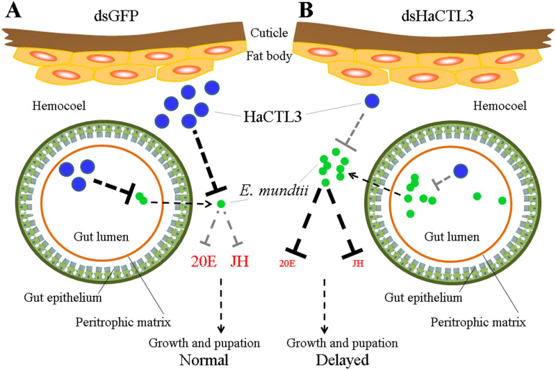 Fig 8