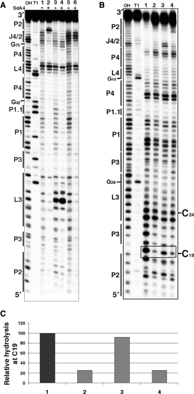 Figure 4.