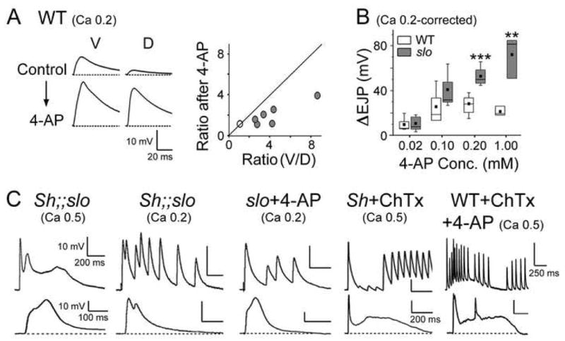 Fig. 6