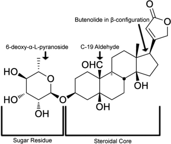 FIG 1