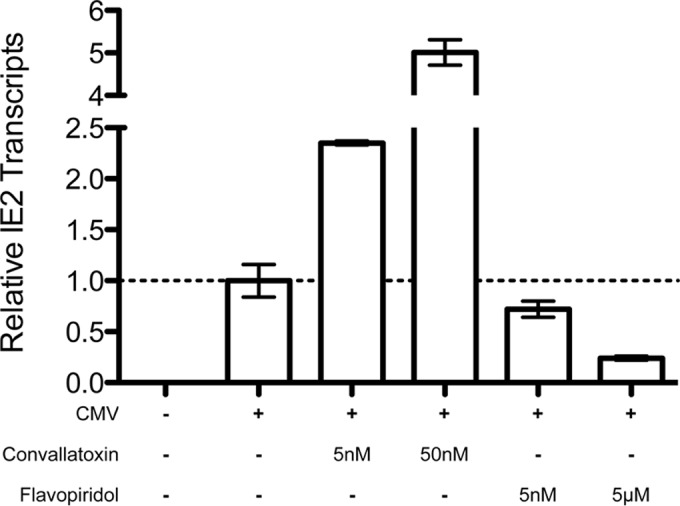 FIG 6