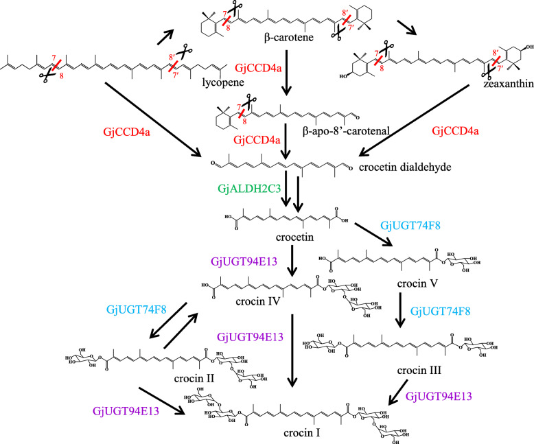 Fig. 4