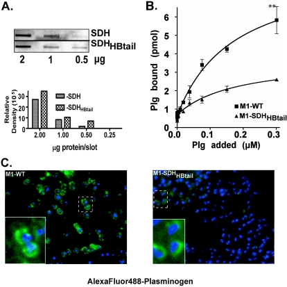 FIG. 4.