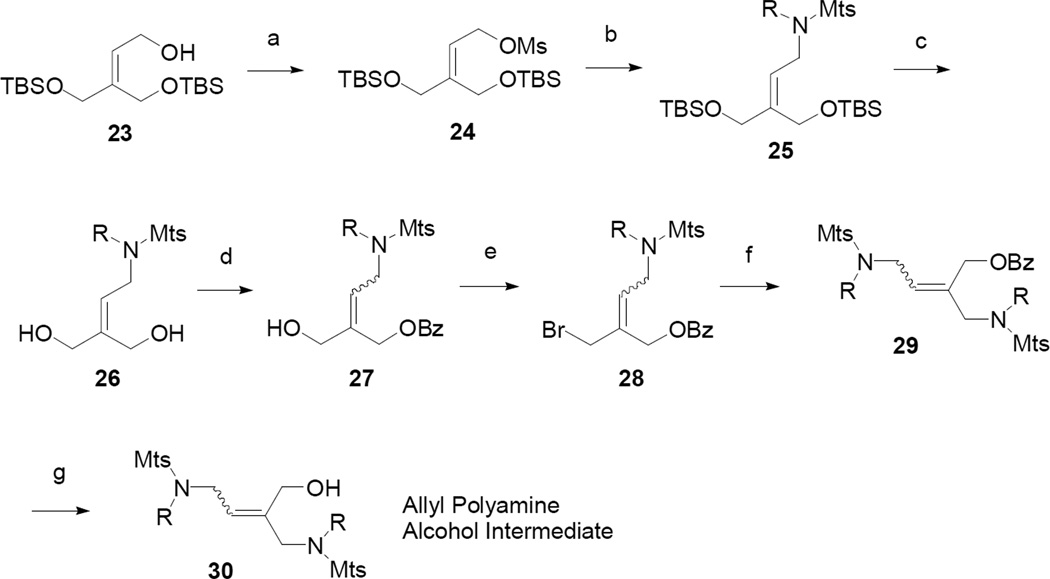 Scheme 4