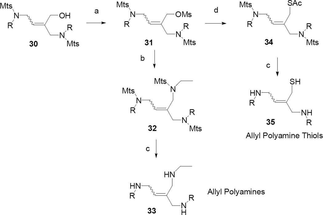 Scheme 5