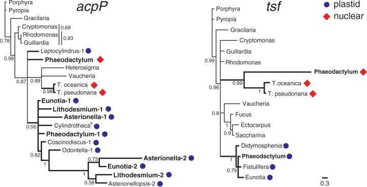 Fig. 4.—