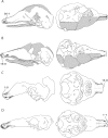 Fig. 4