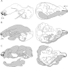 Fig. 6