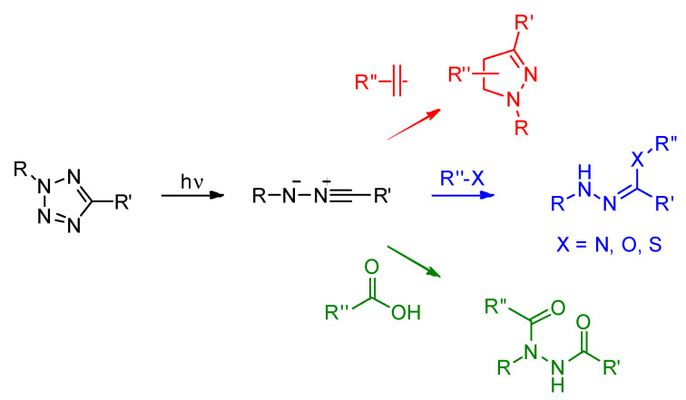 Scheme 1