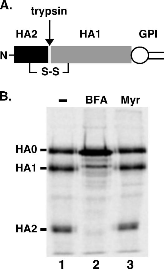 FIG. 7.