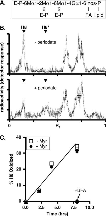 FIG. 8.