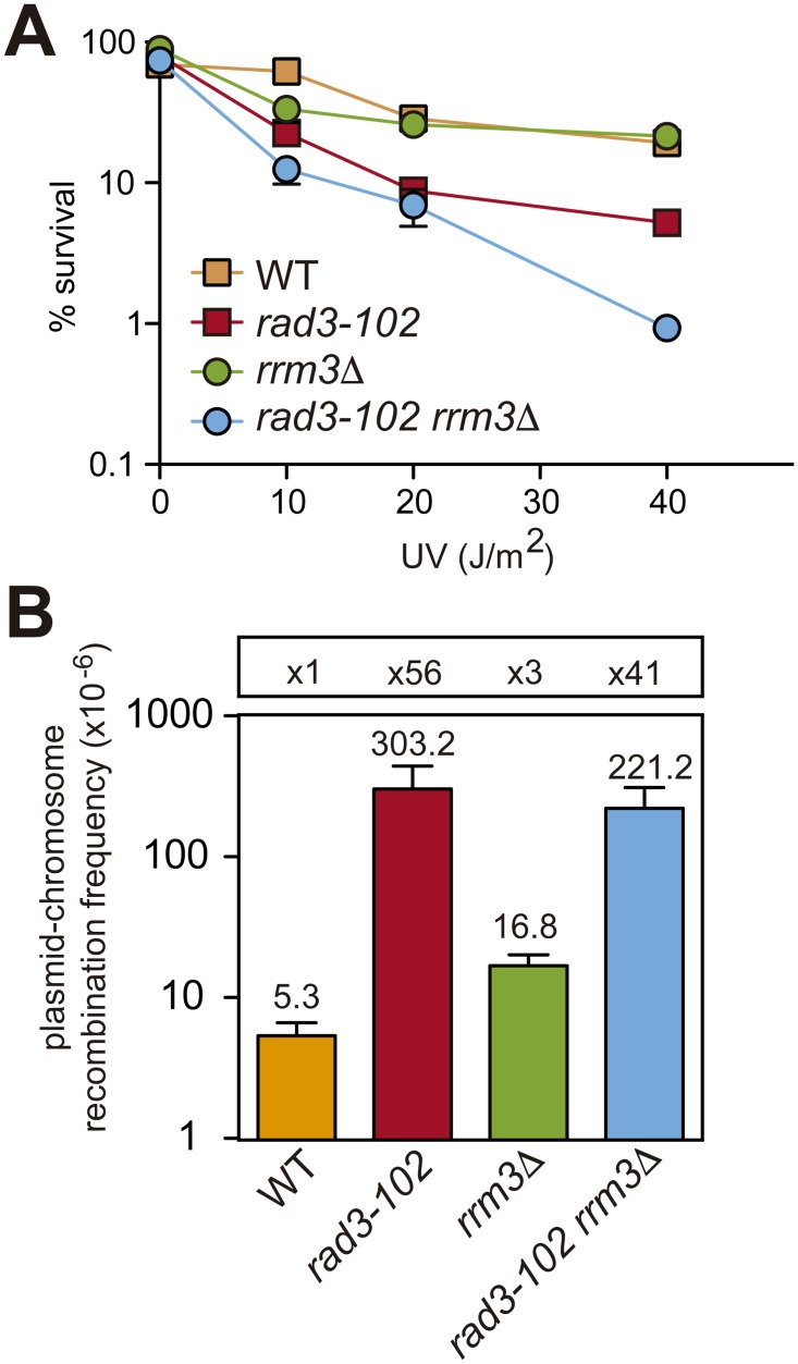 Fig 5