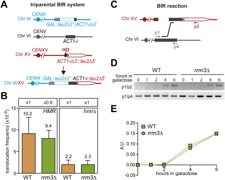 Fig 3