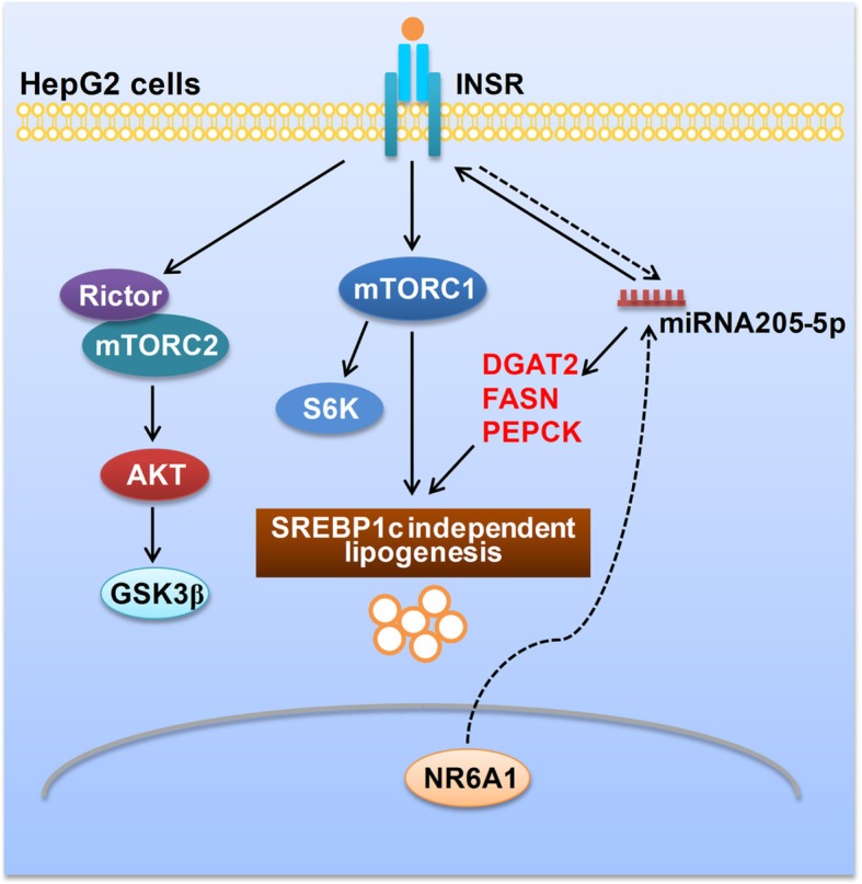 graphic file with name 12964_2019_389_Figa_HTML.jpg