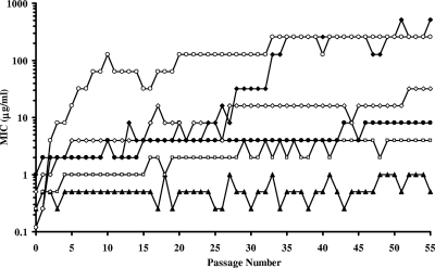 FIG. 2.