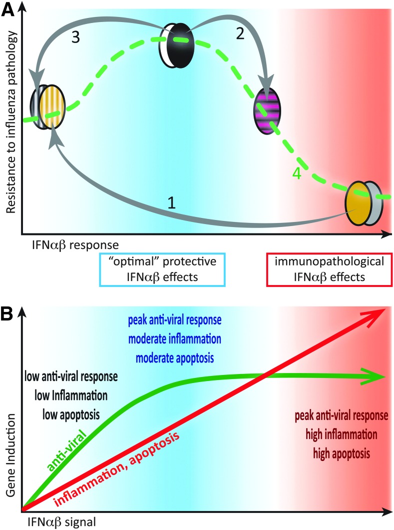 FIG. 2.